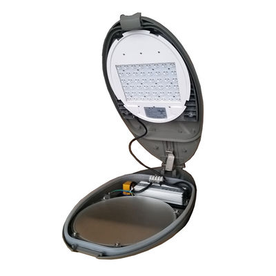 Сплавленный алюминий 80w 100w IP66 Street Light с индивидуальным дизайном и инженерией